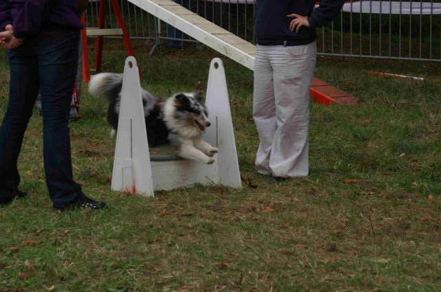 foire-haricots 2011-09-17et18